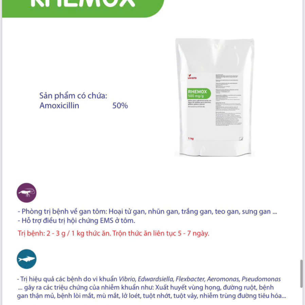 ⭐⭐⭐⭐RHEMOX⭐⭐⭐