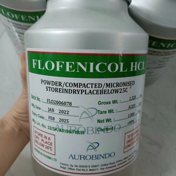 ⭐FLORFENICOL HCL ẤN ĐỘ⭐
