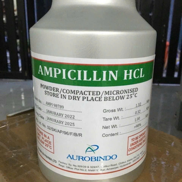 ⭐️AMPICILLIN TRIHYDRATE BP MICRINIZED⭐️
