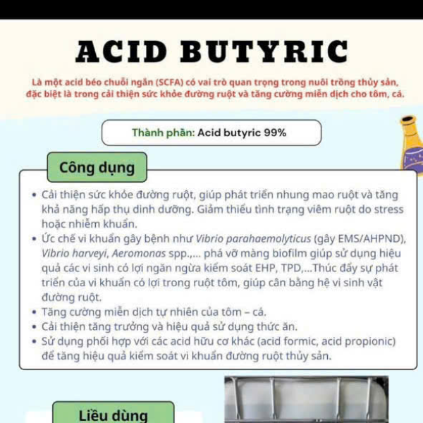⭐Acid Butyric Cho Tôm Cá ⭐– Bảo Vệ Đường Ruột, Phục Hồi Gan Tụy, Tăng Trưởng Bền Vững