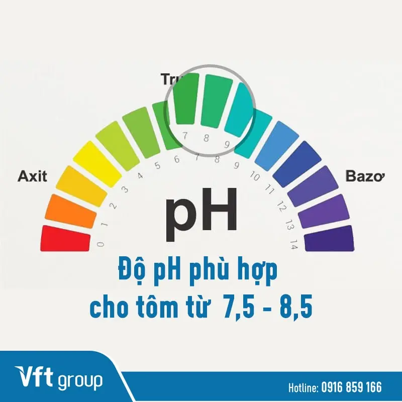 ổn định kiềm ao nuôi