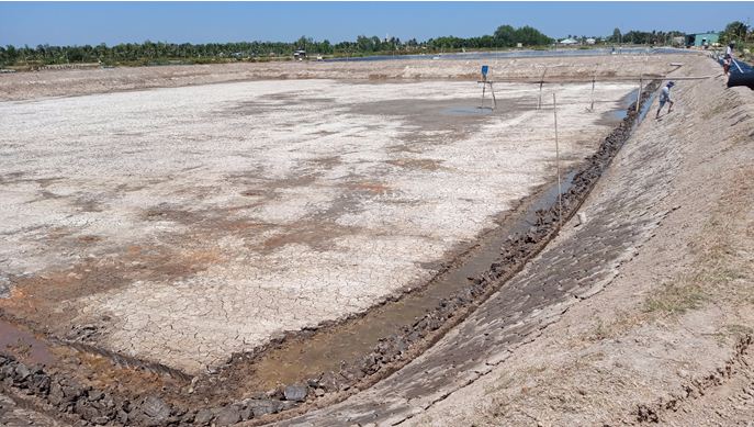 phương pháp cải thiện nước ao luôn trong