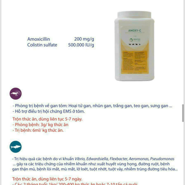 AMOXY- C TRỊ BỆNH EMS, XƯNG GAN NHŨN GAN TÔM