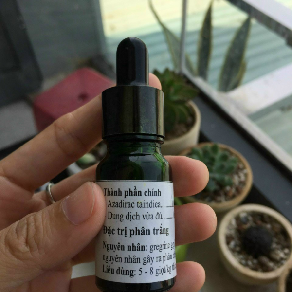Đặc trị phân trắng cho tôm s8