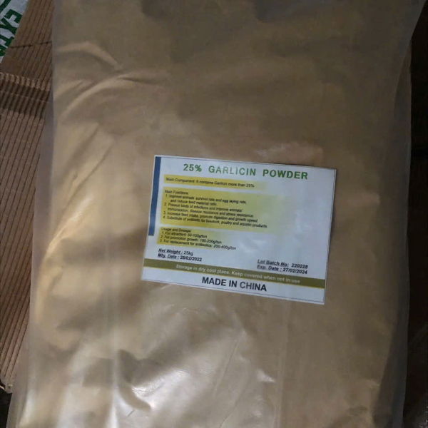 GARLIC POWDER TỎI 