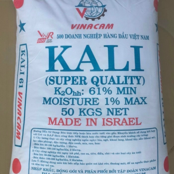 KCL2