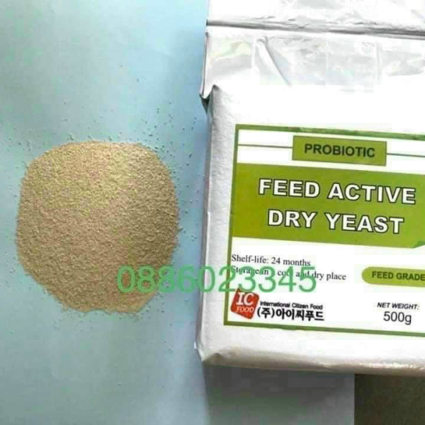 MEN TIÊU HOÁ ACTIVE