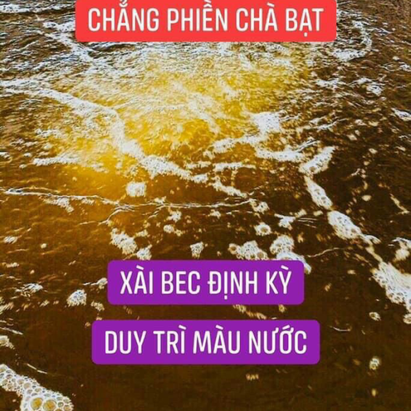 NƯỚC CHUYỂN NÂU TRÀ XÀI BEC 500