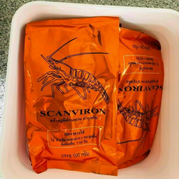 SCANVIRON 500GAM